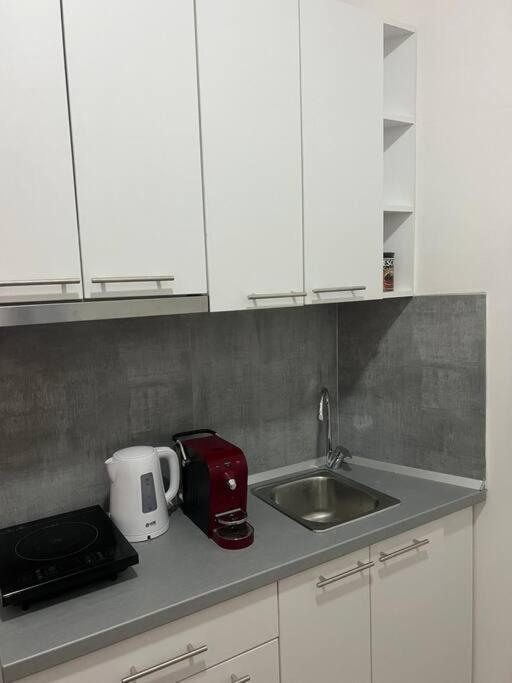 Sany Center Apartment Белград Екстериор снимка